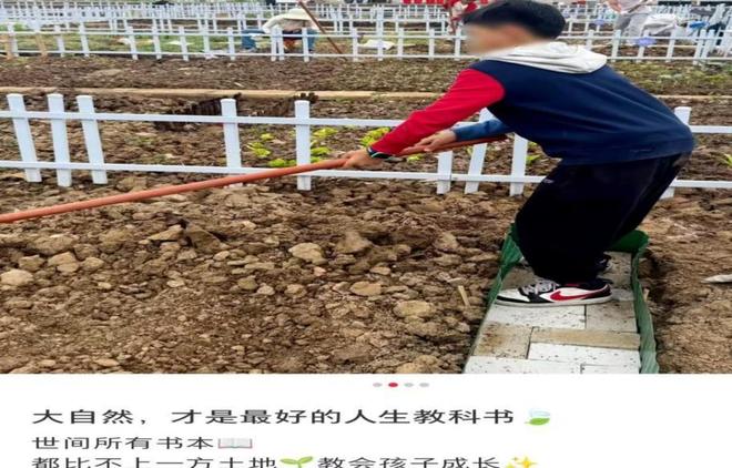 强援助阵 多个维度补齐辽篮短板